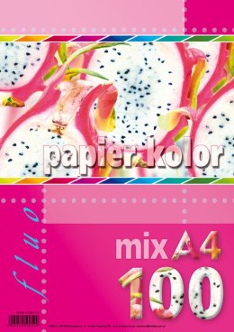 Papier kolorowy fluo A4 mix 80g Kreska