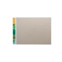 Blok rysunkowy kolorowy A4 kolorowy 16k Rexus (4409) Blok rysunkowy kolorowy A4 kolorowy 16k Rexus (4409)