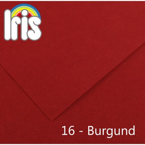 Brystol Iris 16 A4 burgundowy 120g 100k Canson (200040015)