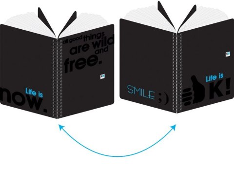 Kołozeszyt (kołonotatnik) BP A4 100k. krata+linia Interdruk (KOŁOZA4100STY)