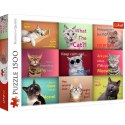 Puzzle Zabawne kocie portrety 1500 el. Trefl (26212)