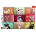 Puzzle Zabawne kocie portrety 1500 el. Trefl (26212)