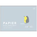 Zeszyt papierów kolorowych B&B KIDS PASTEL A4/10 5902277328649 A4 115g 10k Interdruk (115g)
