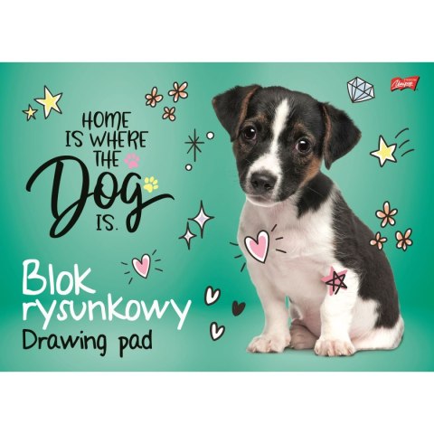 Blok rysunkowy A3 kolorowy 80g 20k [mm:] 297x420 Unipap