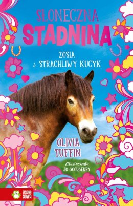 Gra planszowa Słoneczna stadnina. Zosia i strachliwy kucyk Zielona Sowa