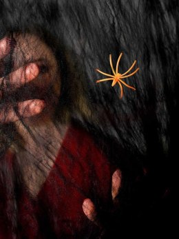 Ozdoba halloweenowa Czarna pajęczyna z pająkiem Arpex (HA7957)