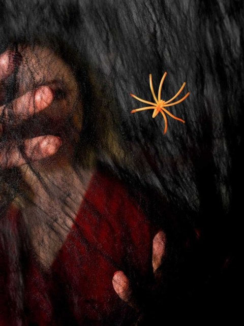 Ozdoba halloweenowa Czarna pajęczyna z pająkiem Arpex (HA7957)