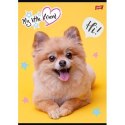 Zeszyt MY LITTLE FRIEND A4 32k. 70g krata Unipap Zeszyt MY LITTLE FRIEND A4 32k. 70g krata Unipap