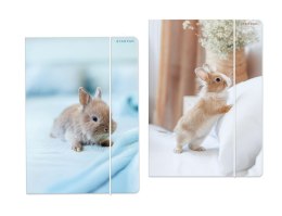 Teczka kartonowa na gumkę Królik A4 mix Starpak (559727)