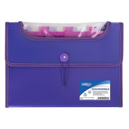 Teczka z przegródkami A4 kolor: fioletowy 12 przegródek Strigo (SF035)