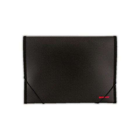 Teczka z przegródkami kolor: mix Penmate (TT6717) Teczka z przegródkami kolor: mix Penmate (TT6717)