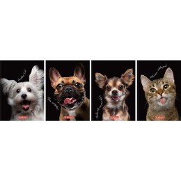 Brulion Crazy Animal A6 80k. 70g krata Herlitz (400196850)