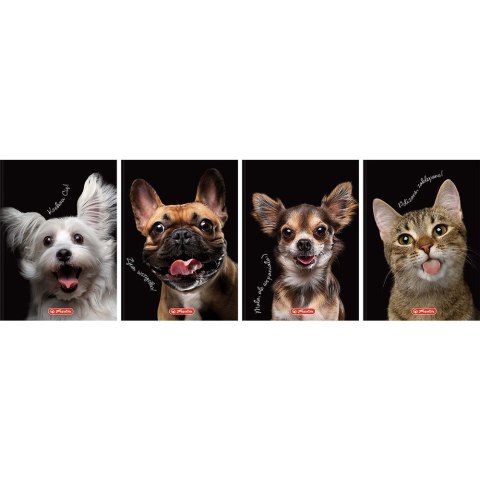 Brulion Crazy Animal A6 80k. 70g krata Herlitz (400196850) Brulion Crazy Animal A6 80k. 70g krata Herlitz (400196850)