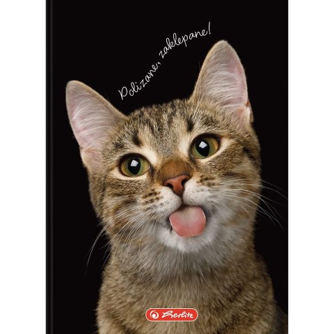 Brulion Crazy Animal A6 80k. 70g krata Herlitz (400196850) Brulion Crazy Animal A6 80k. 70g krata Herlitz (400196850)