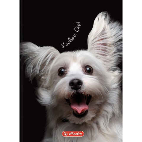 Brulion Crazy Animal A6 80k. 70g krata Herlitz (400196850) Brulion Crazy Animal A6 80k. 70g krata Herlitz (400196850)