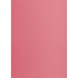 Brystol RÓŻOWY B2 różowy 225g 25k Creatinio (400150329)