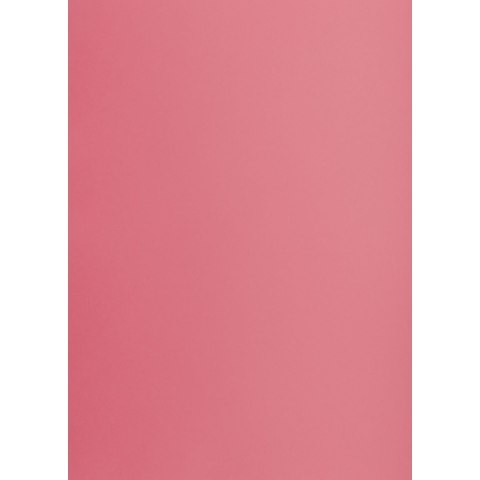 Brystol RÓŻOWY B2 różowy 225g 25k Creatinio (400150329) Brystol RÓŻOWY B2 różowy 225g 25k Creatinio (400150329)