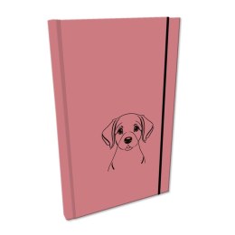 Notes (notatnik) Ev-corp (NA5GSTUVP L-01)