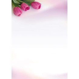 Papier ozdobny (wizytówkowy) barwne arkusze A4 100g Galeria Papieru (234310)