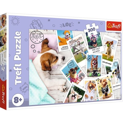 Puzzle Star Wars 300 el. Trefl (23003)