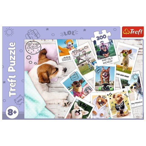 Puzzle Star Wars 300 el. Trefl (23003) Puzzle Star Wars 300 el. Trefl (23003)