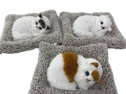 Pluszak kotek na poduszce z dźwiękiem Adar (621008)