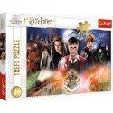Puzzle Harry Potter 300 el. Trefl (23001)