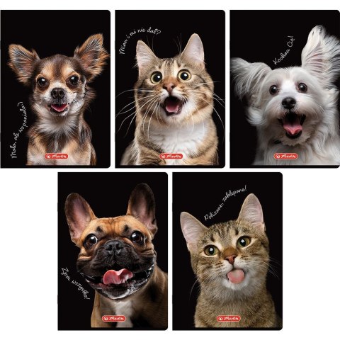 Zeszyt Do Słówek Crazy Animal A6 32k. 70g kratka Herlitz (400196843) Zeszyt Do Słówek Crazy Animal A6 32k. 70g kratka Herlitz (400196843)