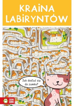 Książeczka edukacyjna Kraina labiryntów Zielona Sowa