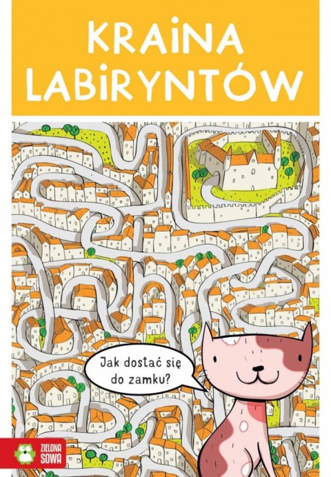 Książeczka edukacyjna Kraina labiryntów Zielona Sowa