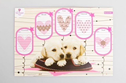 Plan lekcji Pet Poets Club z magnesem Beniamin (600342) Plan lekcji Pet Poets Club z magnesem Beniamin (600342)