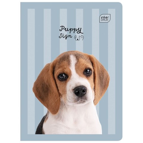 Zeszyt KOL3= A5 32k. 70g linia kolor Interdruk