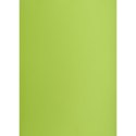 Brystol zielony jasny B2 zielony Creatinio (400150337)