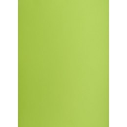 Brystol zielony jasny B2 zielony Creatinio (400150337)