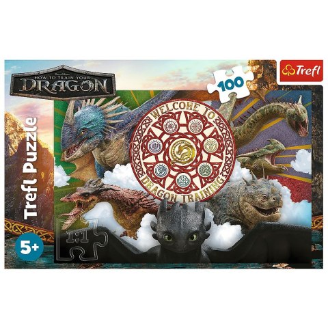 Puzzle Jak Wytresowac Smoka Smoki w akcji 100 el. Trefl (16524)