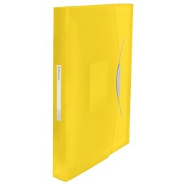 Teczka z przegródkami Vivida A4 kolor: żółty 6 przegródek [mm:] 330x260 Esselte (624020)
