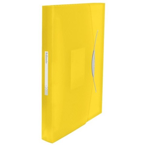 Teczka z przegródkami Vivida A4 kolor: żółty 6 przegródek [mm:] 330x260 Esselte (624020)