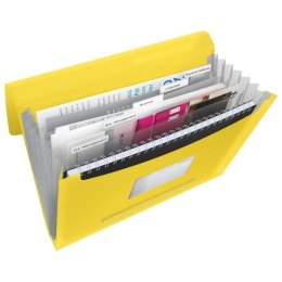 Teczka z przegródkami Vivida A4 kolor: żółty 6 przegródek [mm:] 330x260 Esselte (624020)