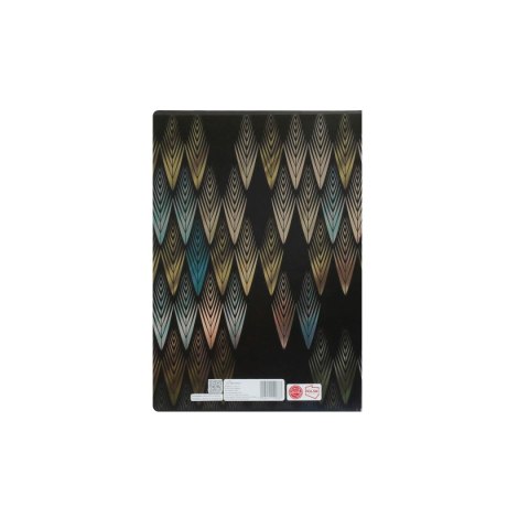 Zeszyt metaliza Beniamin (9887)