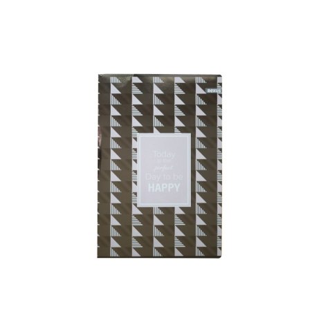 Zeszyt metaliza Beniamin (9887)