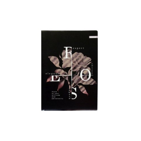 Zeszyt metaliza Beniamin (9887)