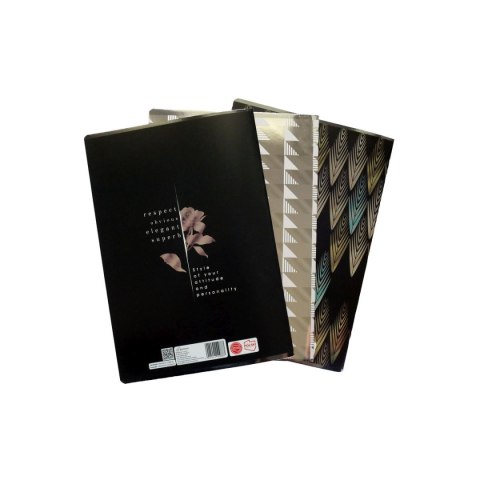 Zeszyt metaliza Beniamin (9887)