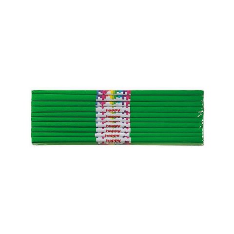 Bibuła marszczona zielona 500mm x 2000mm Happy Color (HA 3640 5020-5) Bibuła marszczona zielona 500mm x 2000mm Happy Color (HA 3640 5020-5)