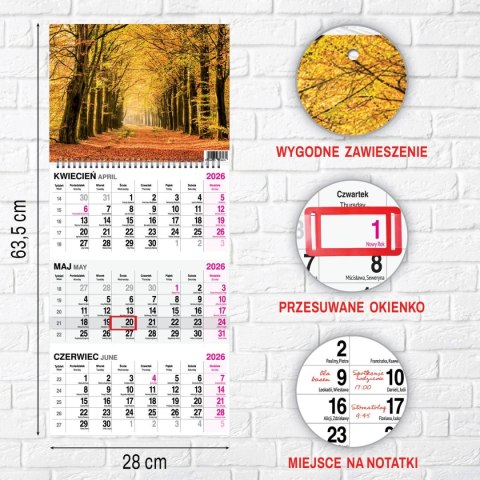 Kalendarz ścienny LAS A4 Press