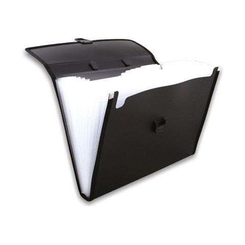 Teczka z przegródkami Penmate (TT7264) Teczka z przegródkami Penmate (TT7264)