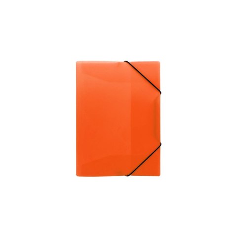 Teczka plastikowa Neon Biurfol (TG-NEON-A4-04) Teczka plastikowa Neon Biurfol (TG-NEON-A4-04)