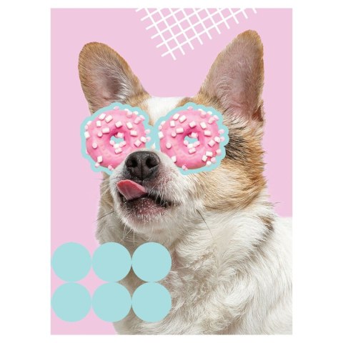 Zeszyt Funny Dog A5 60k. krata Unipap Zeszyt Funny Dog A5 60k. krata Unipap