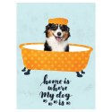 Zeszyt Funny Dog A5 60k. krata Unipap