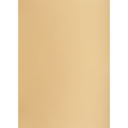 Brystol brążowy jasny B2 czerwony jasny 225g 25k [mm:] 500x700 Creatinio (400150327)