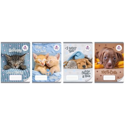 Zeszyt THE SWEET PETS A5 16k. linia kolor Beniamin Zeszyt THE SWEET PETS A5 16k. linia kolor Beniamin